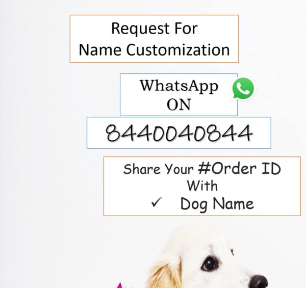 Dog Collar and Chain Leash with Name tag id Customized for Large Medium Small Puppies Neck Collar Belt and Chain Leash with Personalized Dog Name (Black) (Small) 15.79L inch, 3.43W inch - Image 3