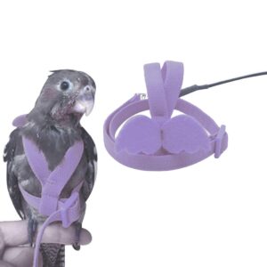 Bird Harness Leash Set Easy to Wear Creative Fashion Parrot Harness with Leash Pet Traction Rubber Alloy Elastic