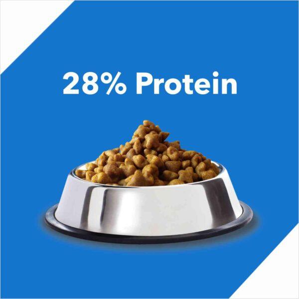 Drools Adult Dry Cat Food Tuna and Salmon Flavour 7 kg Pack - Image 4