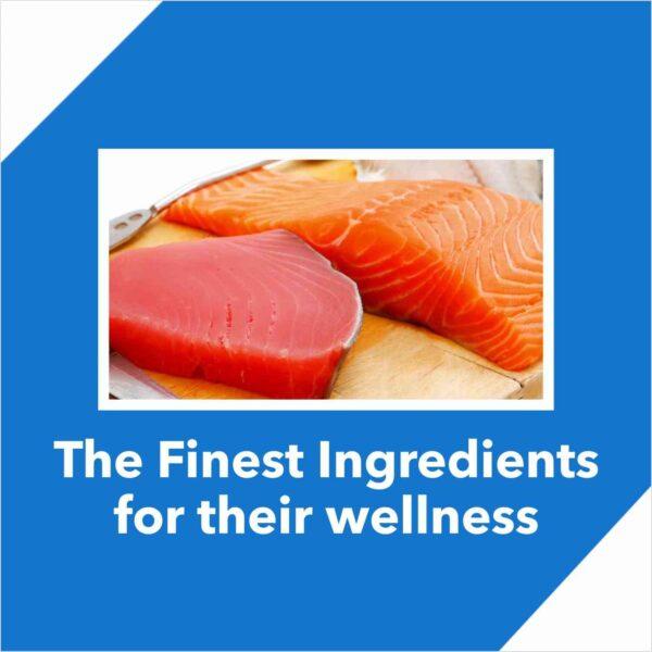 Drools Adult Dry Cat Food Tuna and Salmon Flavour 7 kg Pack - Image 3