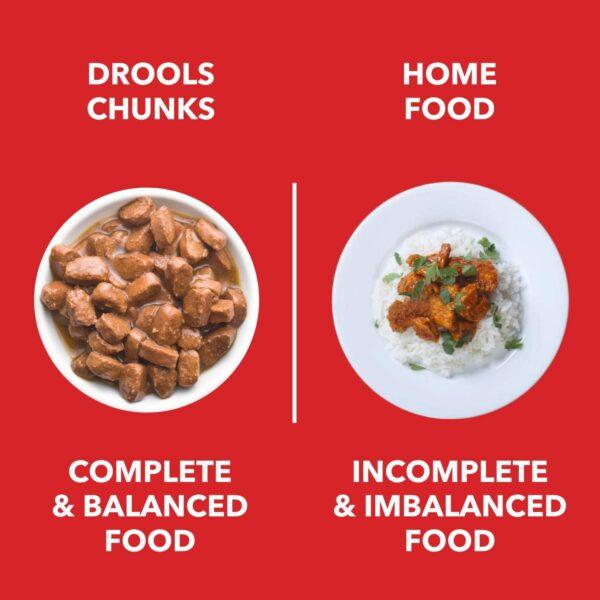 Drools Adult Wet Dog Food, Real Chicken and Chicken Liver Chunks in Gravy,10 Pouches + 2 Pouches Free (12 x 60g) - Image 2