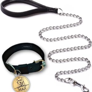 Dog Collar and Chain Leash with Name tag id Customized for Large Medium Small Puppies Neck Collar Belt and Chain Leash with Personalized Dog Name (Black) (Small) 15.79L inch, 3.43W inch