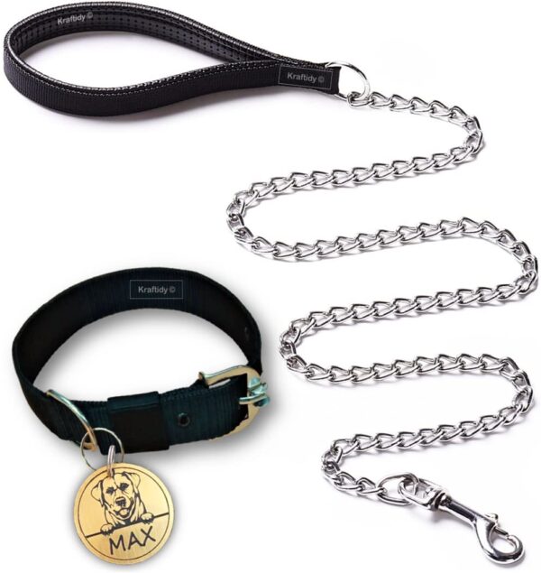 Dog Collar and Chain Leash with Name tag id Customized for Large Medium Small Puppies Neck Collar Belt and Chain Leash with Personalized Dog Name (Black) (Small) 15.79L inch, 3.43W inch