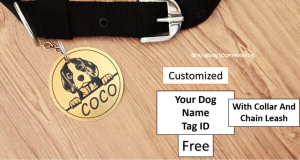 Dog Collar and Chain Leash with Name tag id Customized for Large Medium Small Puppies Neck Collar Belt and Chain Leash with Personalized Dog Name (Black) (Small) 15.79L inch, 3.43W inch - Image 2