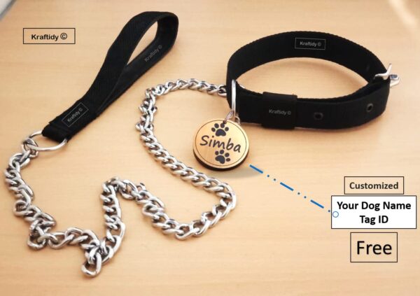 Dog Collar and Chain Leash with Name tag id Customized for Large Medium Small Puppies Neck Collar Belt and Chain Leash with Personalized Dog Name (Black) (Small) 15.79L inch, 3.43W inch - Image 8