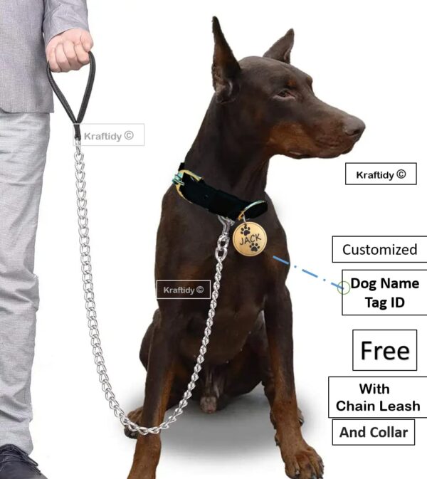 Dog Collar and Chain Leash with Name tag id Customized for Large Medium Small Puppies Neck Collar Belt and Chain Leash with Personalized Dog Name (Black) (Small) 15.79L inch, 3.43W inch - Image 7