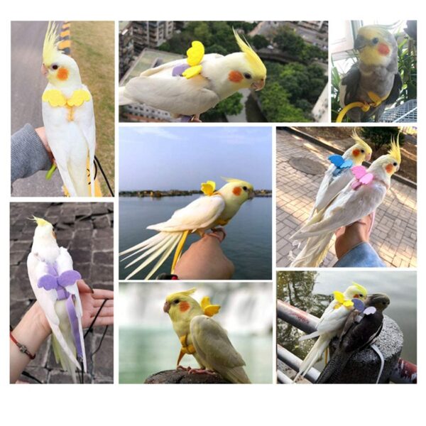 Bird Harness Leash Set Easy to Wear Creative Fashion Parrot Harness with Leash Pet Traction Rubber Alloy Elastic - Image 4