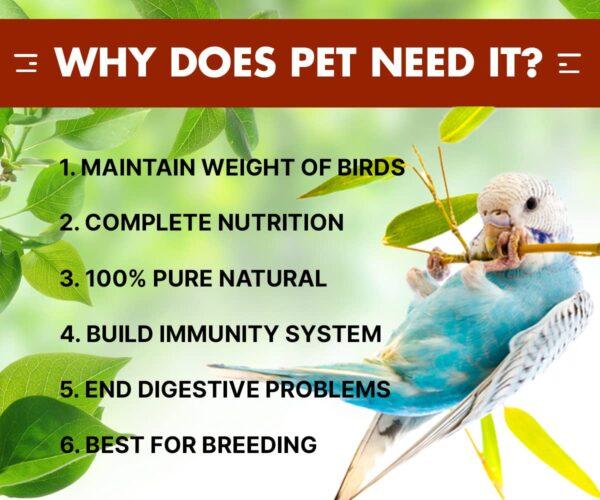 BOLTZ All Life Stages Bird Food for Budgies - Mix Seeds, Medium, 1200 g - Image 6
