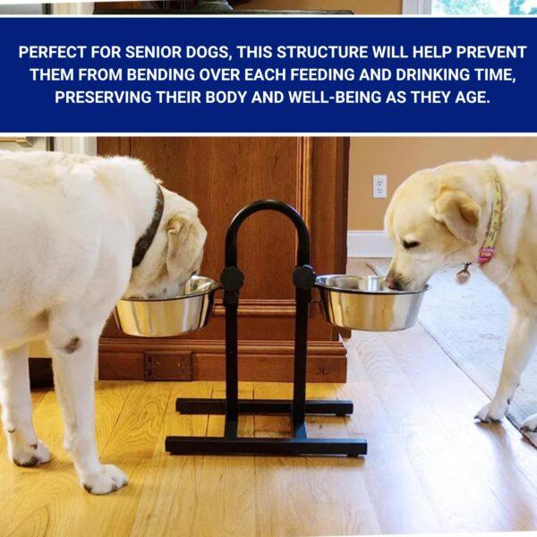 Pets Empire Double Diner Dog Bowl | Adjustable Elevated Pet Feeder Raised Dog Food Bowl | Dog Feeding Station H-Base Double Bowl Stand | Stainless Steel Removable Bowls - Image 3