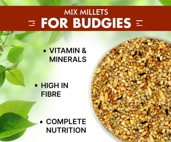 BOLTZ All Life Stages Bird Food for Budgies - Mix Seeds, Medium, 1200 g - Image 4