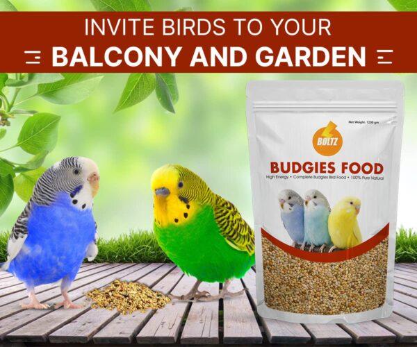 BOLTZ All Life Stages Bird Food for Budgies - Mix Seeds, Medium, 1200 g - Image 5
