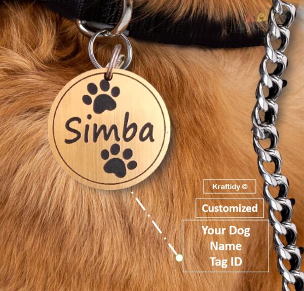 Dog Collar and Chain Leash with Name tag id Customized for Large Medium Small Puppies Neck Collar Belt and Chain Leash with Personalized Dog Name (Black) (Small) 15.79L inch, 3.43W inch - Image 6